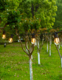 LUMIFX 10 BULB SOLAR OUTDOOR FESTOON LIGHTS