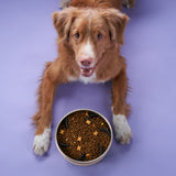 Charlie's Duro Double Wall Stainless Steel Dog Bowl With Removable Slow Feeder Attachment Cream