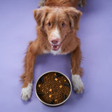 Charlie's Duro Double Wall Stainless Steel Dog Bowl With Removable Slow Feeder Attachment Black