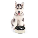 Charlie's Duro Double Wall Stainless Steel Dog Bowl With Removable Slow Feeder Attachment Cream