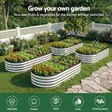 Green Fingers Raised Garden Bed Galvanised Oval Metal Planter Box Large Outdoor 150x70x30cm Silver