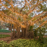 LUMIFX 200 LED POWERED STRING LIGHTS 8 LIGHTING EFFECTS 10 METRES WARM WHITE