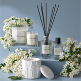 SOCIETY HOME VILLAGE GREEN SCENTED DIFFUSER 200ML