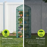Green Fingers Greenhouse 4 Tiers Mini Green House Garden Bed 1.6x0.7x0.5M
