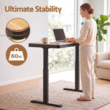 Artiss Motorised Standing Desk with Storage Drawer 120cm Wood Black