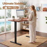 Artiss Electric Standing Desk Height Adjustable Table 120cm Walnut Black