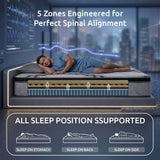 Levitex 5-Zone Pocket Spring Mattress with Latex & Memory Foam 7.5 Firm Hybrid Mattress for Extra Lumbar & Shoulder Support 34 cm Thickness Queen