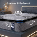 Levitex 5-Zone Pocket Spring Mattress with Latex & Memory Foam 7.5 Firm Hybrid Mattress for Extra Lumbar & Shoulder Support 34 cm Thickness Single