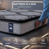 Levitex 5-Zone Pocket Spring Mattress with Latex & Memory Foam 7.5 Firm Hybrid Mattress for Extra Lumbar & Shoulder Support 34 cm Thickness Single