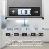 RENPHO SMART NUTRITION SCALE - BLE - 3XAAA - 9X6.3X0.8 INCH - GREY STAINLESS STEEL (UP TO 11LB)