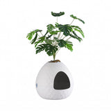 i.Pet Cat Litter Box Hidden Litter Tray Enclosure Planter Furniture House White
