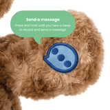 Pixbee Smart AI Bear with 2-Way Voice Chat