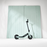 PURE ESCAPE+ SAGE GREEN 900W MAX POWER 50KM RANGE