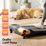Everfit 3 in 1 Walking Pad Treadmill 12% Incline Under Desk Treadmills for Home Gym With 40cm Wide Belt Black