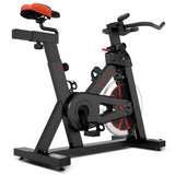 Lifespan Fitness SP-310 M2 Lifespan Fitness Spin Bike
