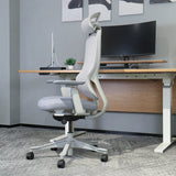 Lifespan Fitness DM8 Ergonomic Office Desk Chair (White/Grey)