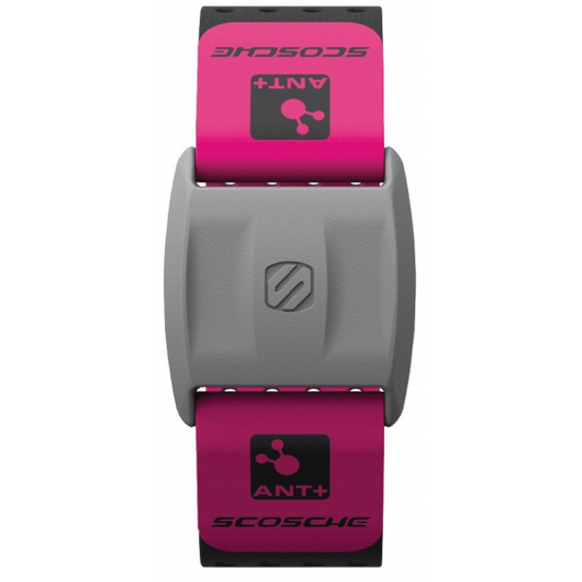SCOSCHE RHYTHM+Â ARMBAND REPLACEMENT STRAPS- PINK