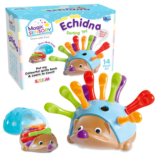 Magic Sensory Fine Motor Skills Echidna