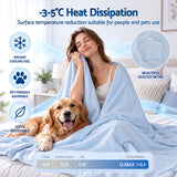 Giselle Cooling Blanket Double 180 x 210cm Summer Quilt Lightweight Hot Sleepers