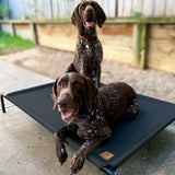 CHARLIE'S Trampoline Hammock Bed Black