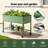 Green Fingers Elevated Raised Garden Bed Kit Mobile w/ Locking Wheels & Storage Shelf 100KG Max Load 115x60x81cm | Galvanized Steel, Portable Green Organizer for Seniors, Patio, Balcony, Vegetables