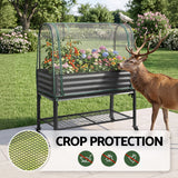 Green Fingers Mobile Raised Garden Bed with Net Cover Storage Shelf for Tomato Vegetables Herb Charcoal
