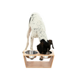 CHARLIE'S Bamboo Dog Feeder With Stainless Steel Bowls Natural Large