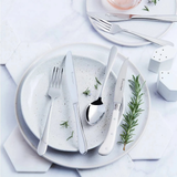 Stanley Rogers Albany 70Pc Premium Stainless Steel Cutlery Set - 10 Person Setting