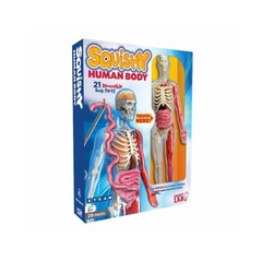 Smart Lab Toys Squishy Human Body
