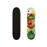Bravo Sports Kryptonics KR31 Star Series Skateboard - Swirled Bear