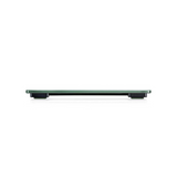 SOEHNLE STYLE SENSE COMPACT 300 SILVER 180KG