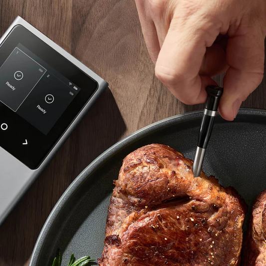 Typhur Sync Dual Wireless 2 Probe Meat Thermometer