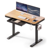 Artiss Motorised Standing Desk with Storage Drawer 120cm Wood Black