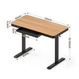 Artiss Motorised Standing Desk with Storage Drawer 120cm Wood Black