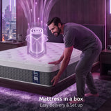 Levitex Single Mattress Lumbar Support 5-Zone Individual Pocket Spring 30CM