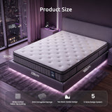 Levitex Double Mattress 2 Rows Edge Support for Deep Sleep 5-Zone Ergonomic Pocket Spring Breathable Corrugated Sponge Medium Firm 30CM
