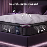 Levitex Double Mattress 2 Rows Edge Support for Deep Sleep 5-Zone Ergonomic Pocket Spring Breathable Corrugated Sponge Medium Firm 30CM