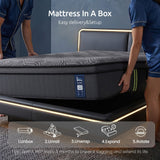 Levitex 34 cm Pocket Spring Mattress with Reinforced Edge Support & 5-Zone Pressure Relief Breathable Gel Memory Foam Hybrid Mattress for Back Pain Double