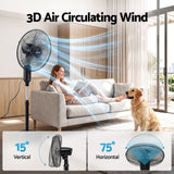 DEVANTI 16" Pedestal Fan with Remote 3 Speeds 8H Timer, Black
