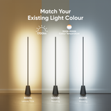 EUFY INDOOR FLOOR LAMP E10