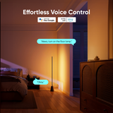 EUFY INDOOR FLOOR LAMP E10