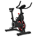 Lifespan Fitness SM-120 Spin Bike with Automatic Magnetic Resistance