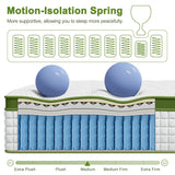 BedStory 34cm Double Latex Hybrid Mattress Medium Firm - 5 Zone Pocket Spring Bed for Pressure Relief Motion Isolation