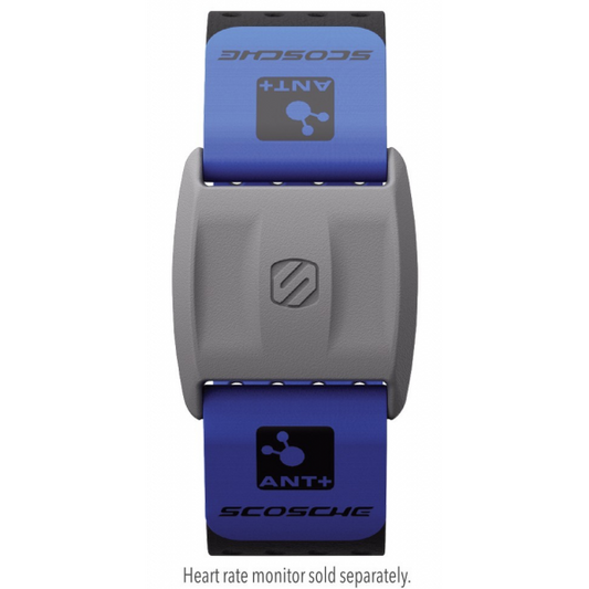 SCOSCHE RHYTHM+  ARMBAND REPLACEMENT STRAPS- BLUE