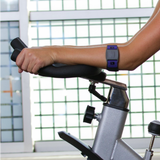 SCOSCHE RHYTHM+  ARMBAND REPLACEMENT STRAPS- BLUE