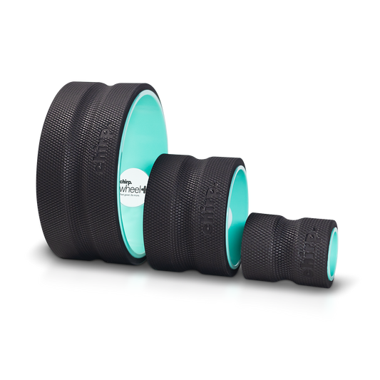 CHIRP WHEEL 3 PACK (4" 6" 10")