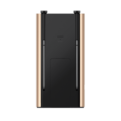 Typhur Sync Gold Dual 2 Probe Meat Thermometer