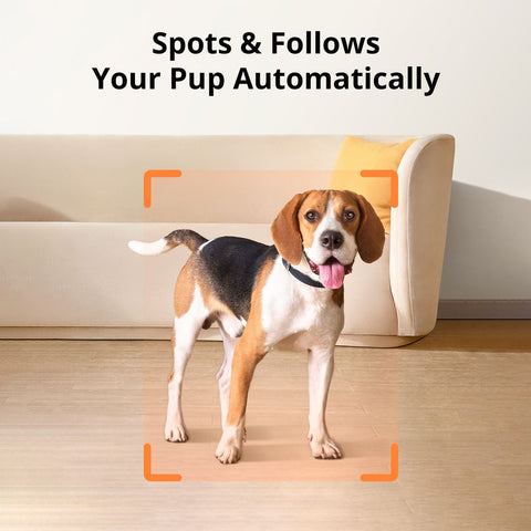 eufy Pet Dog Camera D605