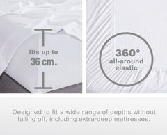 CLEVERPOLLY VINTAGE WASHED MICROFIBRE SHEET SET SINGLE SEAFOAM